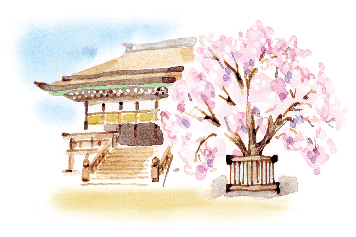 左近の桜