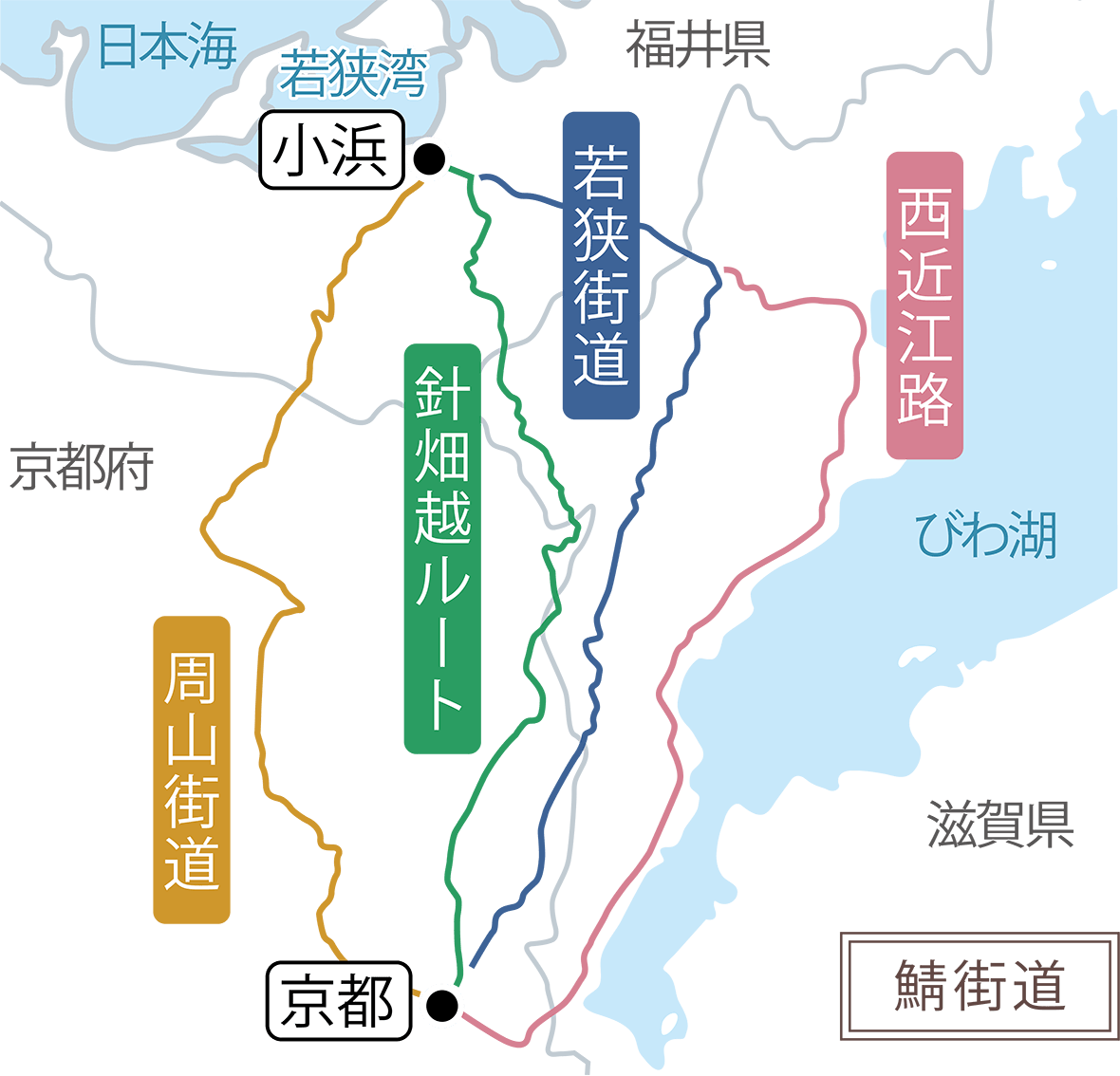 日本海から届く「ひと塩もの」&「干物」の魚