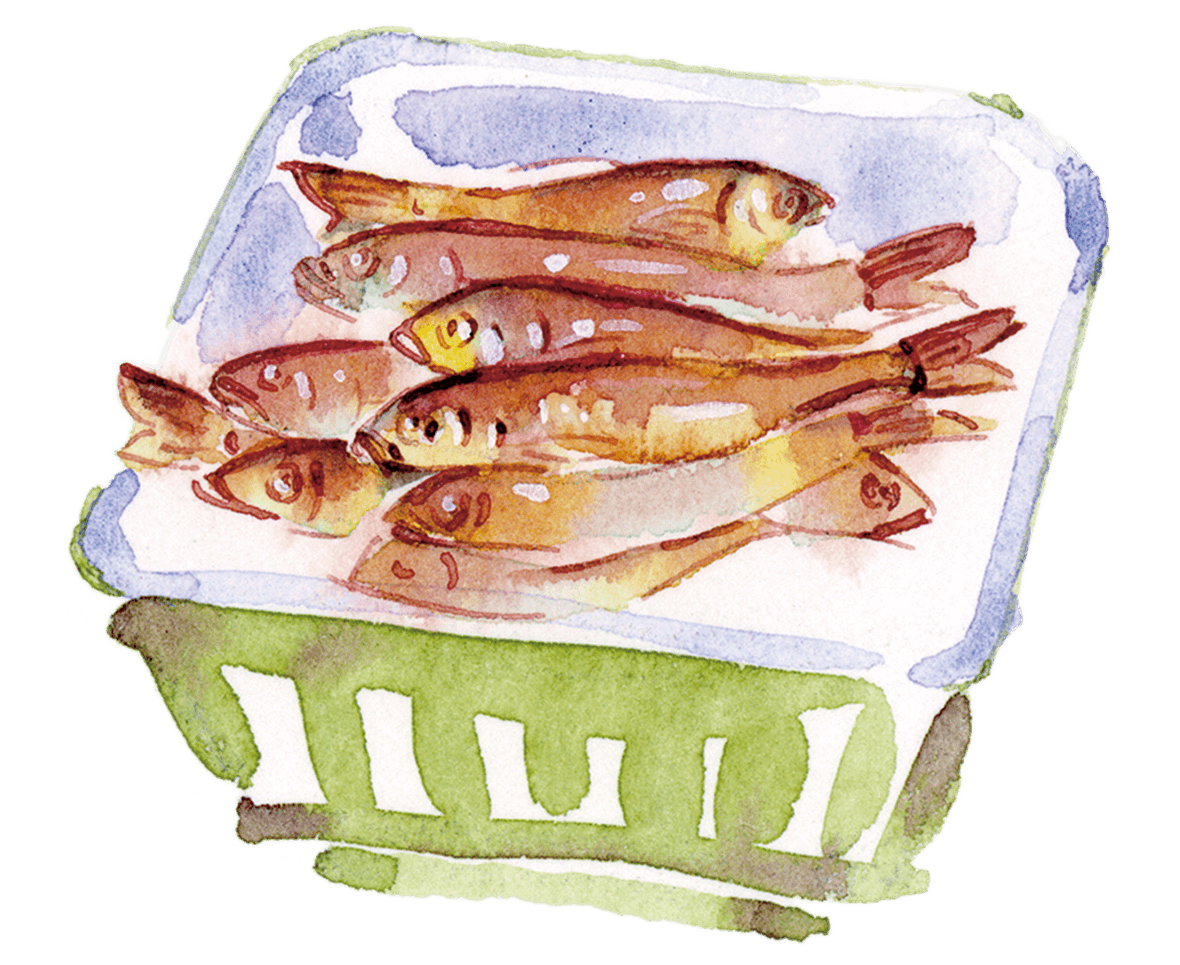 モロコの鞍馬煮