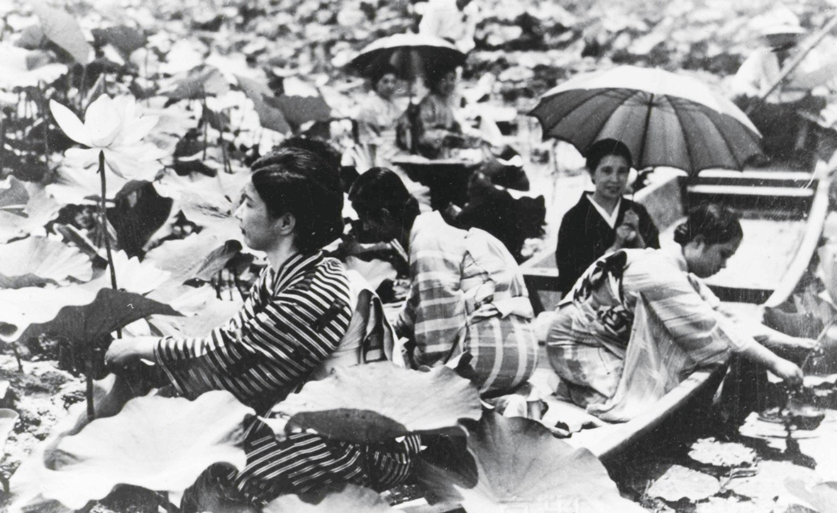 蓮見舟に乗ってハスの花を観賞する人々