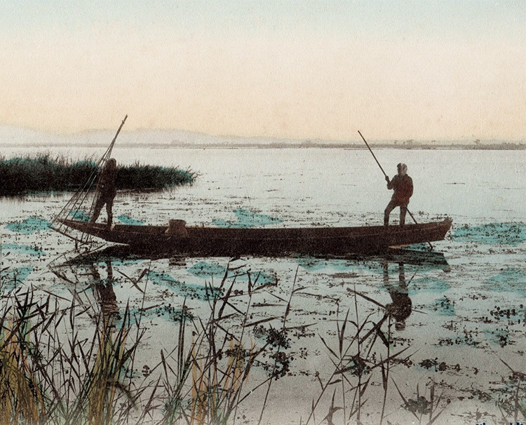 第190回 幻の巨椋池(おぐらいけ)