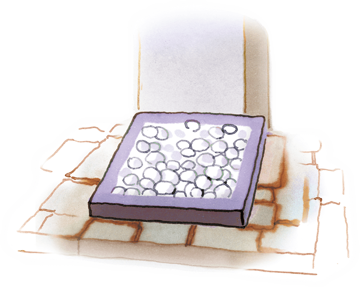 家やビルが立つ敷地の北東角に、小さな白い石が四角く敷き詰められている