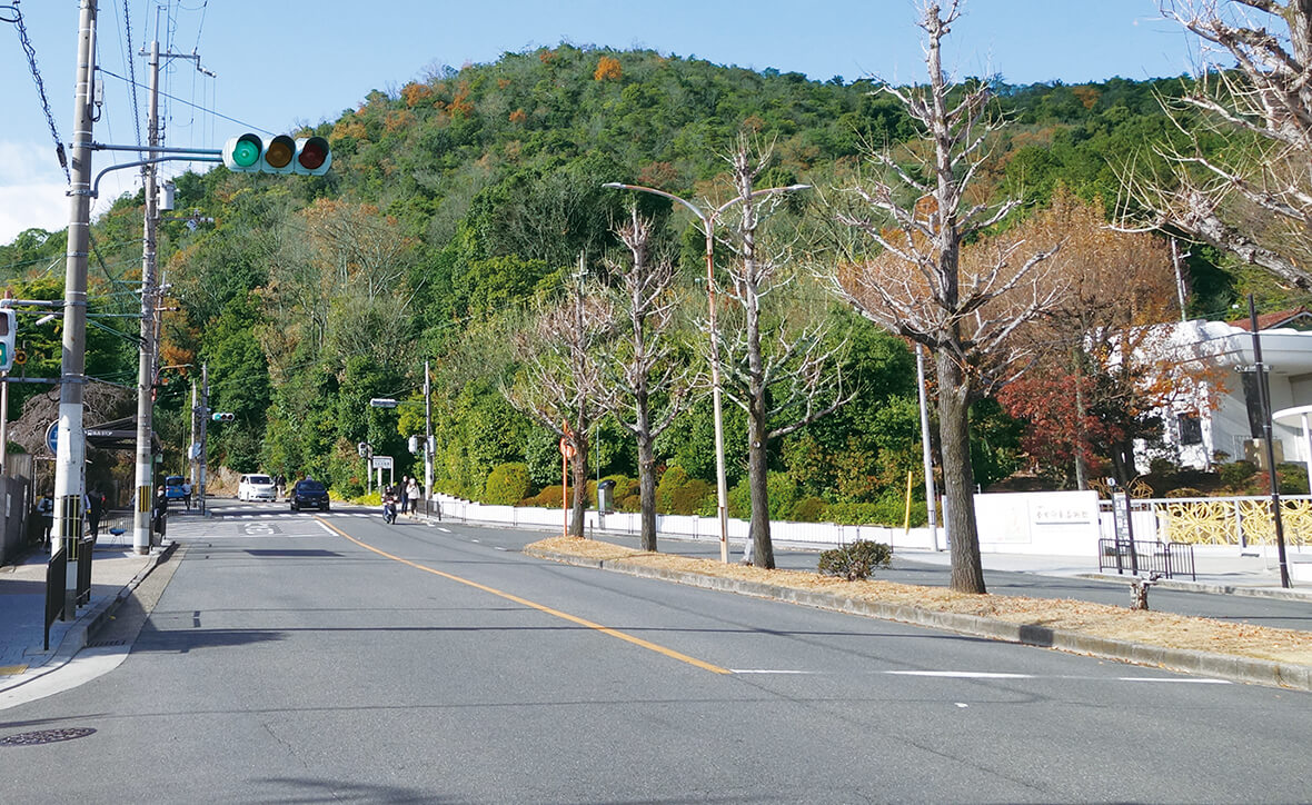 衣笠山／北区・右京区