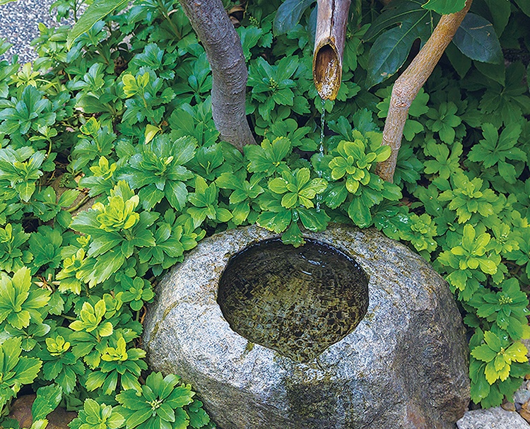 第201回 京都と水