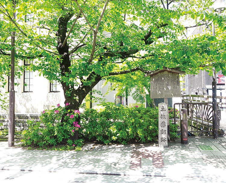 第202回 幕末の京都と藩邸