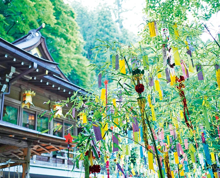 第203回 京都と七夕