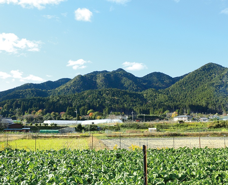 第204回 自然豊かな山里 大原
