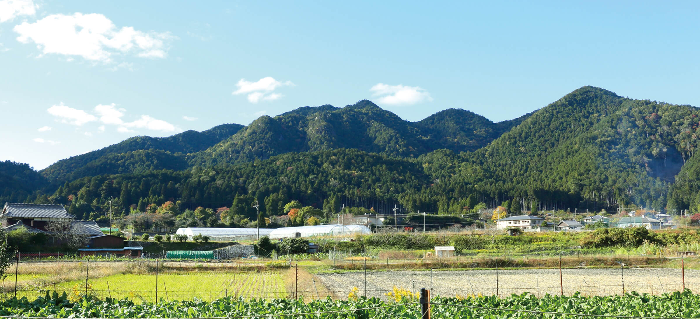 自然豊かな山里 大原