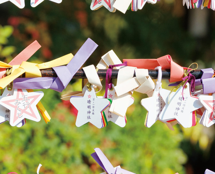 第二百八回 京のおみくじ