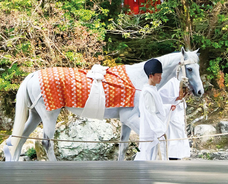 第二百九回 京都の神社と馬