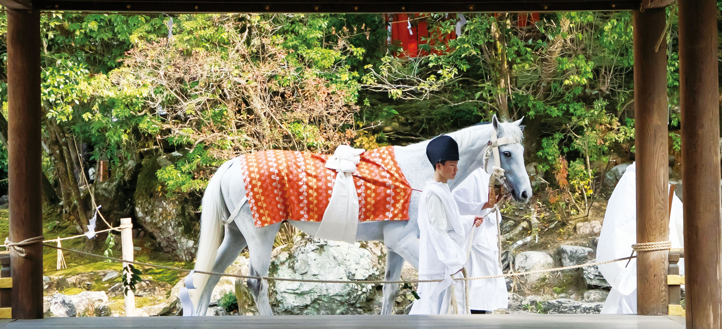 京都の神社と馬