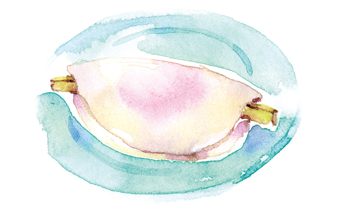 花びら餅・柏餅