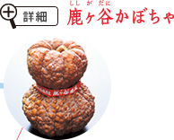 鹿ヶ谷かぼちゃ