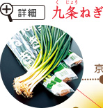 九条ねぎ