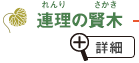 連理の賢木