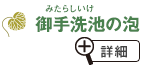 御手洗池の泡