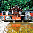 御手洗池の泡の画像