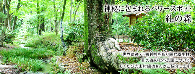 [神秘に包まれるパワースポット 糺の森] 世界遺産・下鴨神社を取り囲む原生林、糺の森の七不思議について、らくたびの山村純也さんがご紹介します。