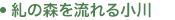 糺の森を流れる小川