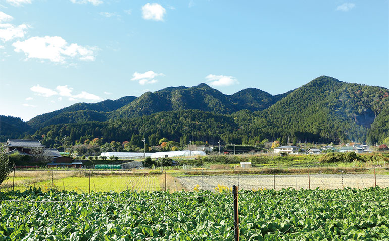 自然豊かな山里 大原