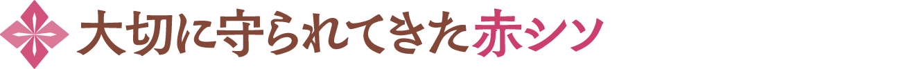 大切に守られてきた赤シソ