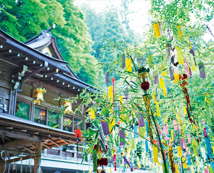 第二百三回 京都と七夕