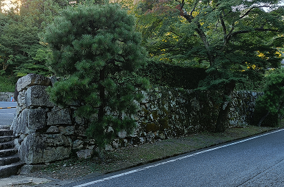 旧竹林院の石垣と松、表門付近