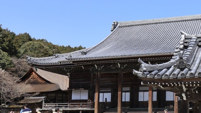 西教寺の本堂と境内
