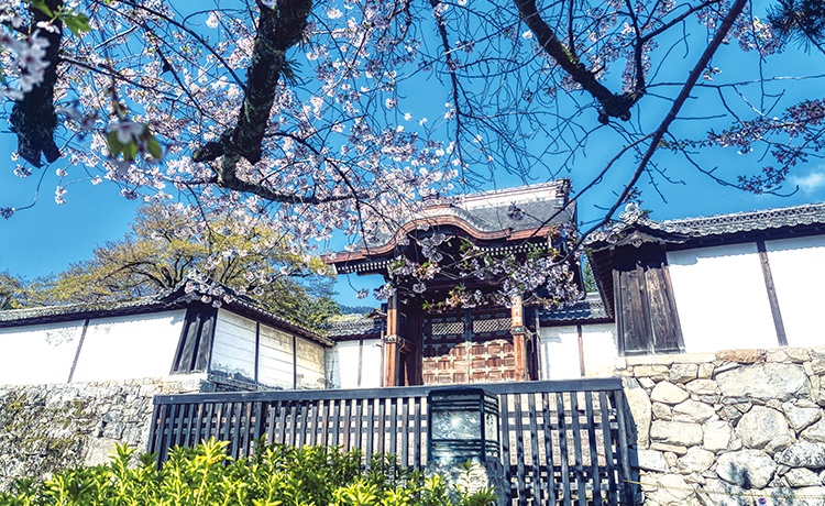 滋賀院門跡と穴太衆積みの石垣