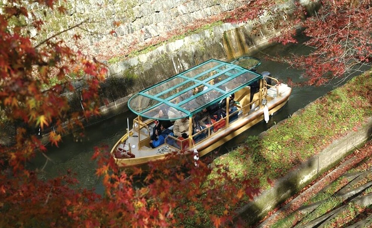 びわ湖疏水船秋季運航開始