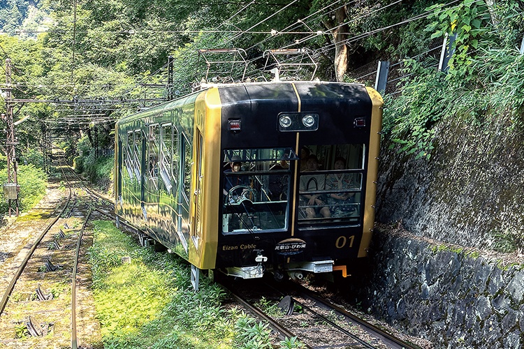 京都・比叡山頂往復切符【ガーデンミュージアム比叡 入園券付】