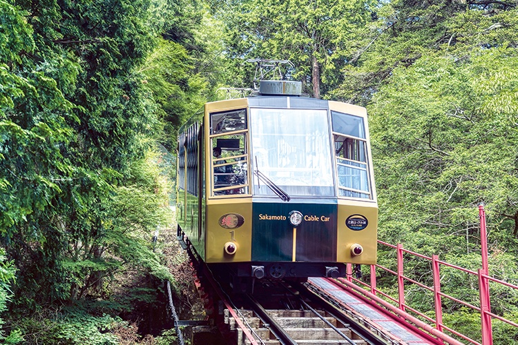 びわ湖・比叡山頂往復切符【ガーデンミュージアム比叡 入園券付】