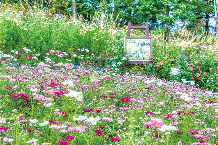 びわ湖・比叡山頂往復切符【ガーデンミュージアム比叡 入園券付】