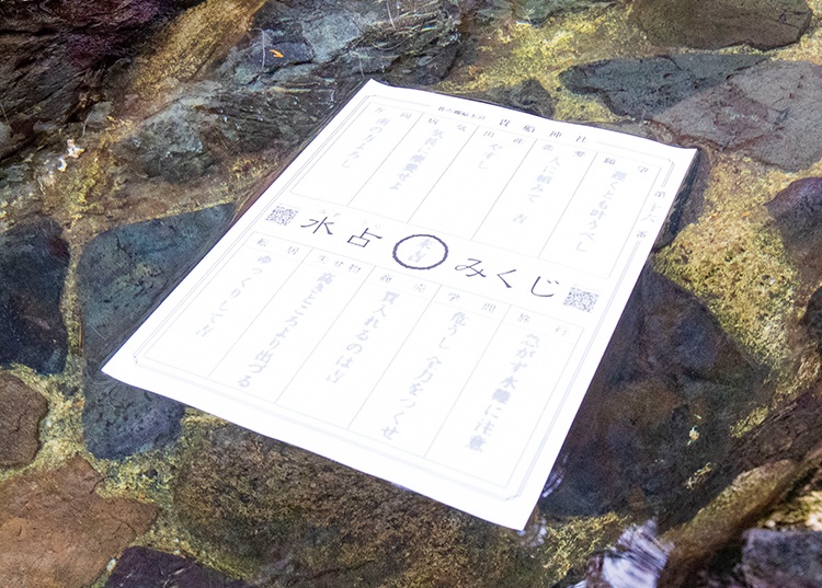 水に浮かべると文字が浮かび上がってくる水占（みずうら）みくじ