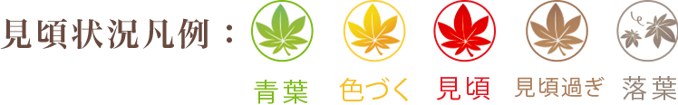 見頃状況凡例