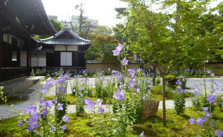 廬山寺
