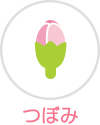 開花状況：つぼみ