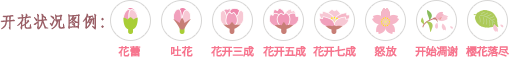 开花状况图例
