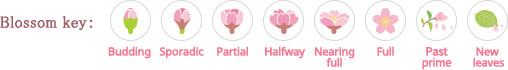 Blossom key