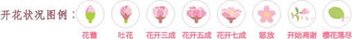 开花状况图例