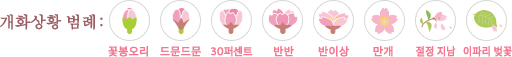 개화상황 범례