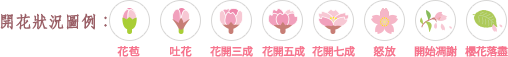 開花狀況圖例