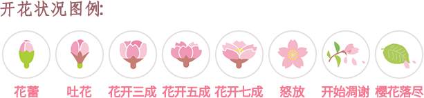 开花状况图例