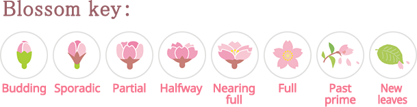 Blossom key