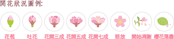 開花狀況圖例