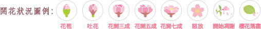 開花狀況圖例