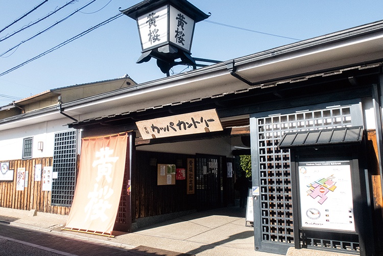 キザクラカッパカントリー