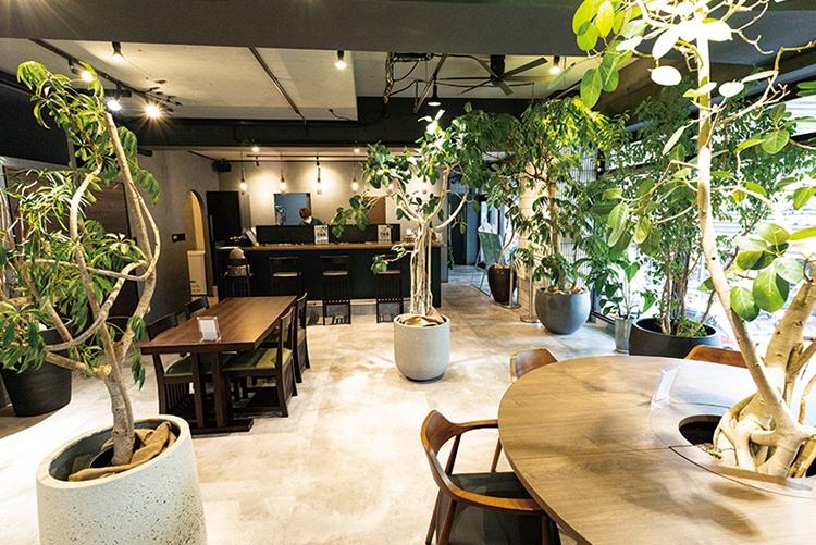 購入もできる大型の観葉植物で緑あふれる店内