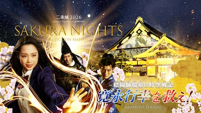 京都桜ライトアップ・夜桜（元離宮二条城）