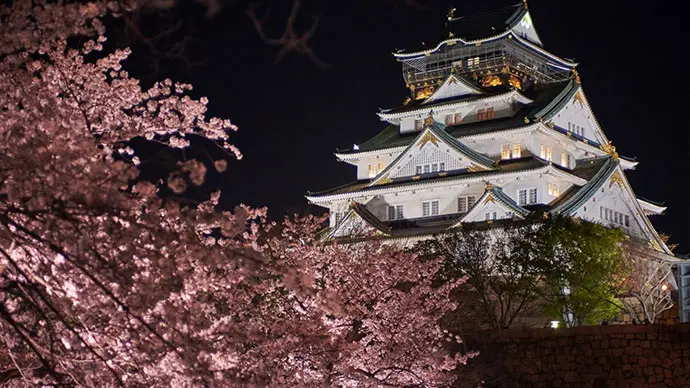 大阪桜ライトアップ・夜桜（大阪城公園）